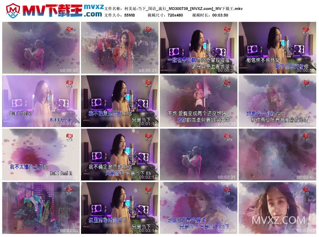 何美延-当下_国语_流行_MD300739